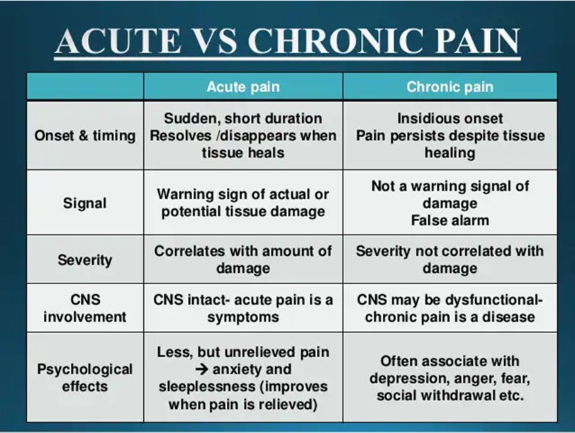 Free Materials Charts Notes Videos